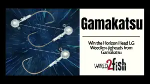 Gamakatsu’s Horizon Head LG Weedless Jigheads Winners!