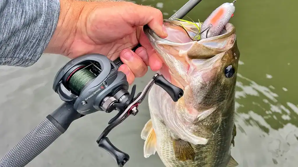 Lew’s Speed Spool RX and bass