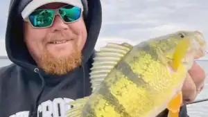 Live Bait Fishing for Perch