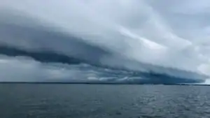 Understanding Barometric Pressure in Fishing