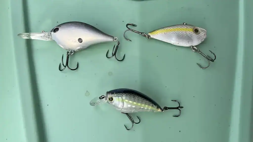 crankbaits for September