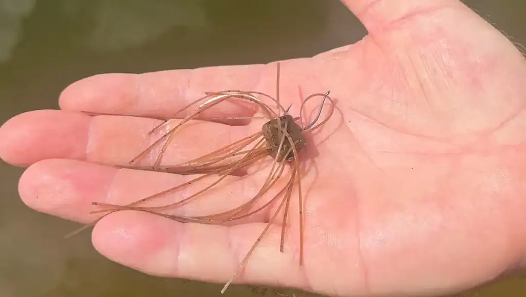 fuzzy baits on Neko rig