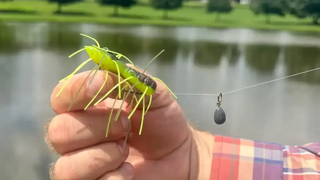 fuzzy baits on free rig