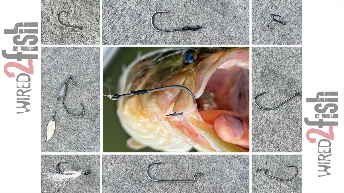 different types of bass fishing hooks