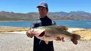Possible Record-Breaking 16.57-Pound Largemouth Bass Stuns Field at Arizona Tournament