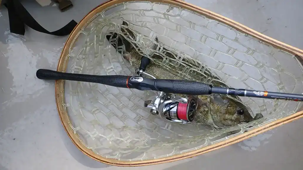 spinning rod and smallmouth bass
