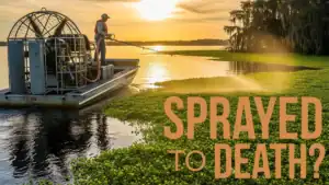 Florida’s Weed and Spray Problem: A Call for a Better Way to Manage Waterways