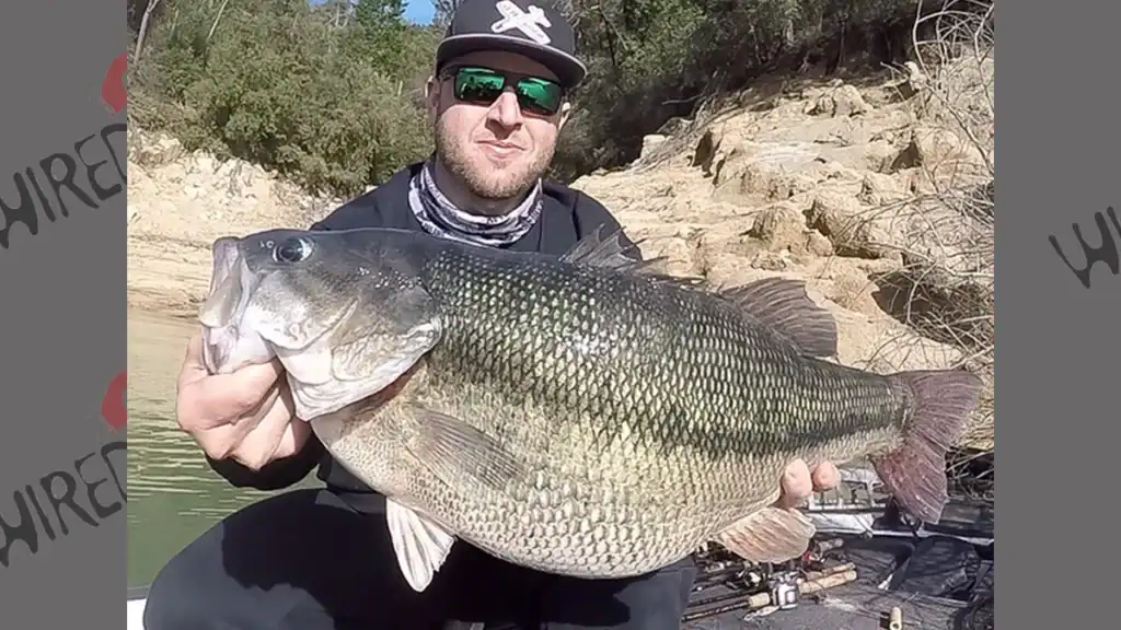 Alabama bass record