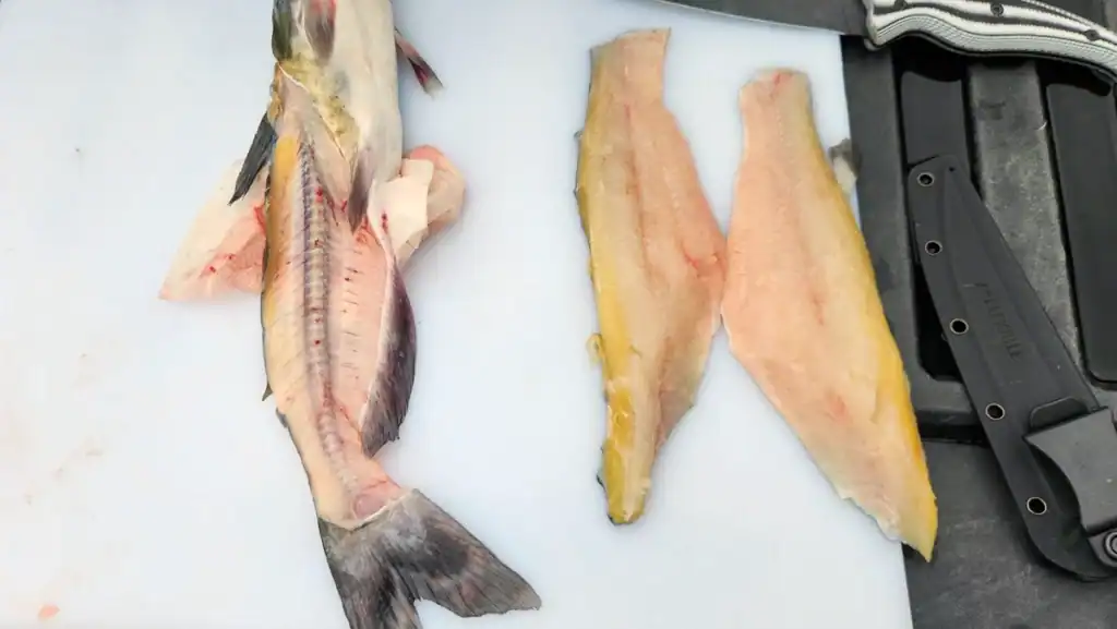 catfish fillets next to catfish