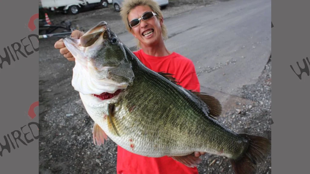 Florida bass all tackle record