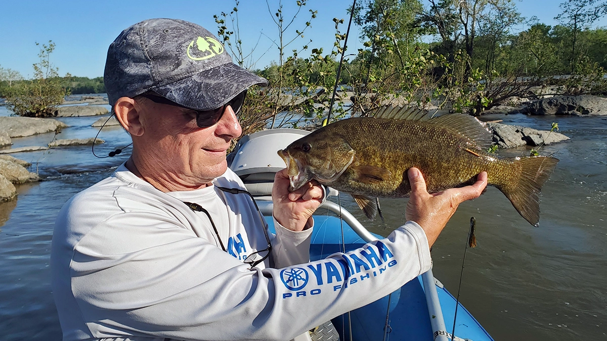 Potomac River smallmouth bass