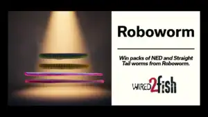 Roboworm’s Straight Tail and NED Worm Winners!