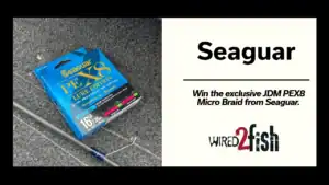 The Seaguar Exclusive JDM PEX8 Micro Braid Winners!