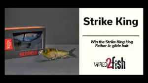 The Strike King Hog Father Jr. Glide Bait Winners!