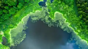 America’s Dirtiest and Cleanest Lakes in 2025