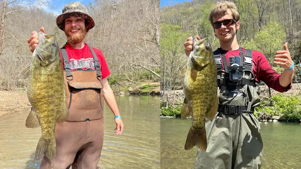 big creek smallies