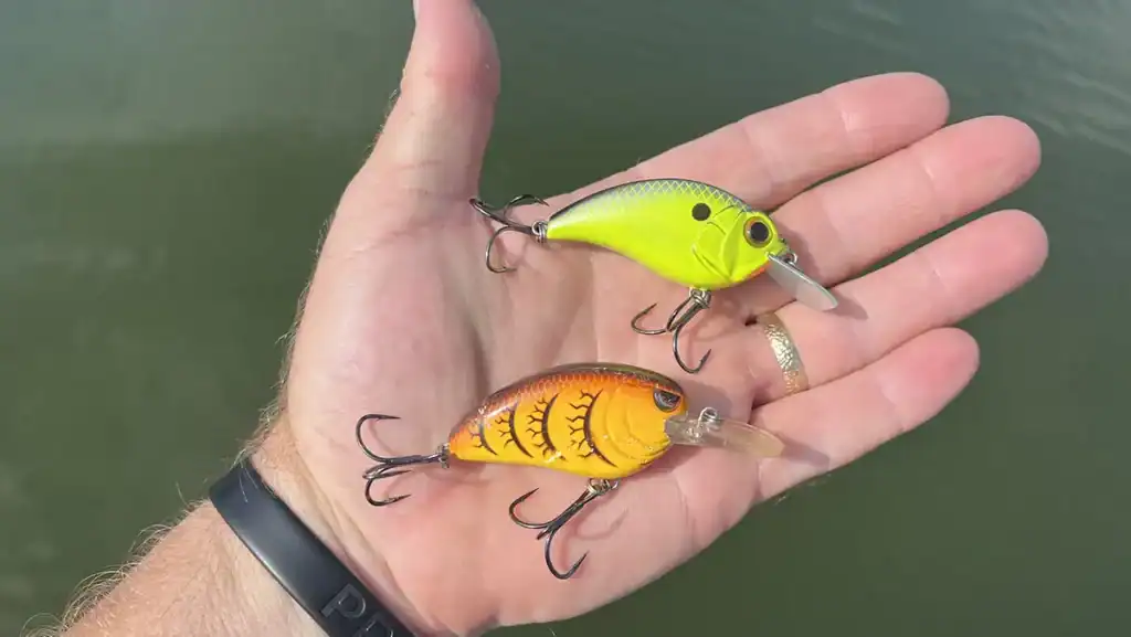 fall crankbaits