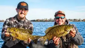 Fall Bass Fishing – Beginner to Advanced