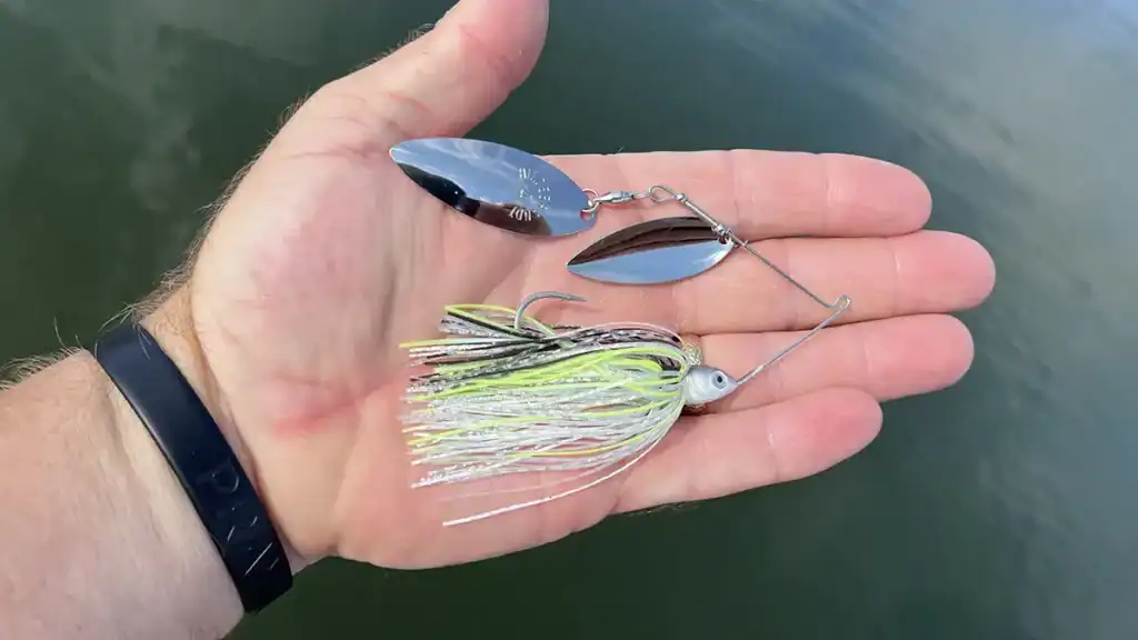 fall spinnerbait