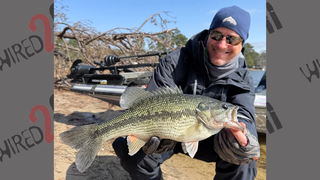 Spotted bass record