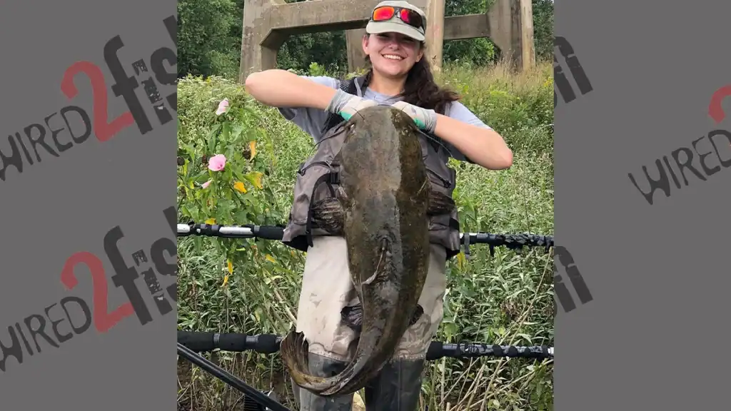 40 pound flathead catfish
