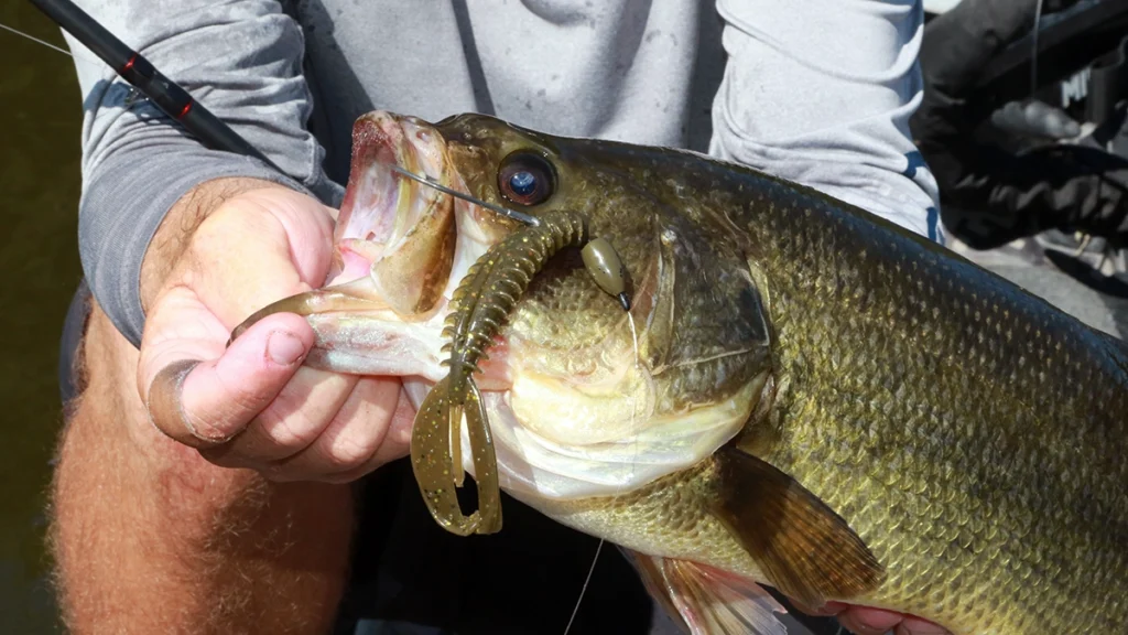 punch fishing for bass