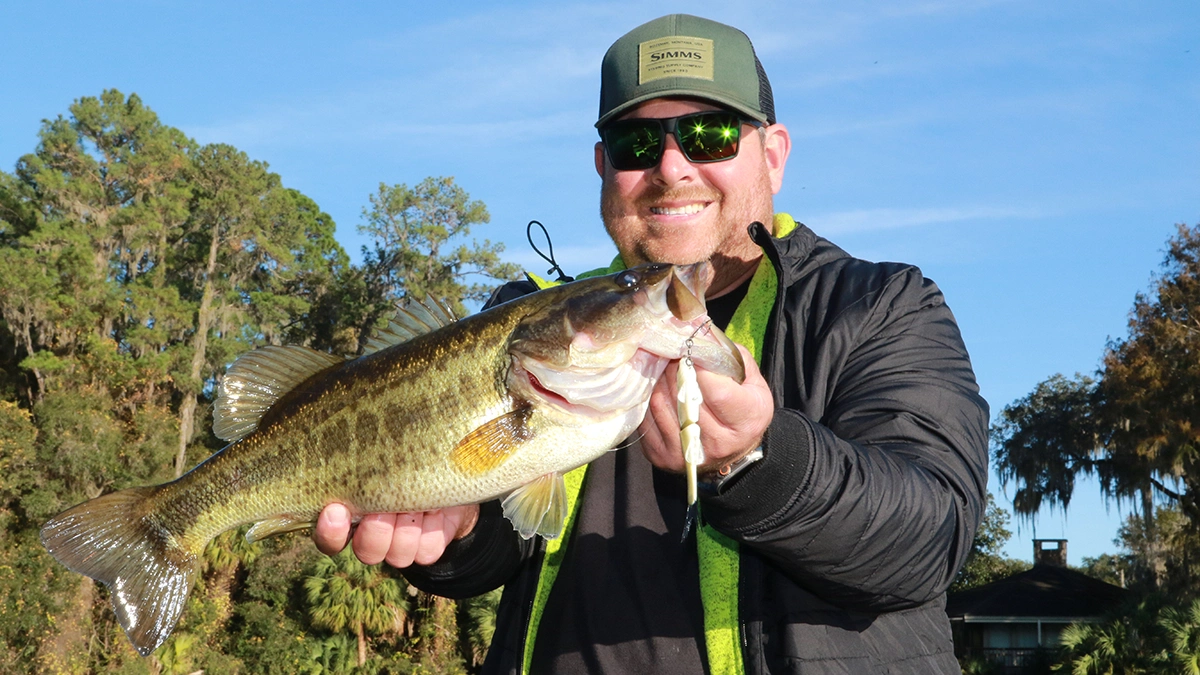 Florida largemouth bass and swimbait
