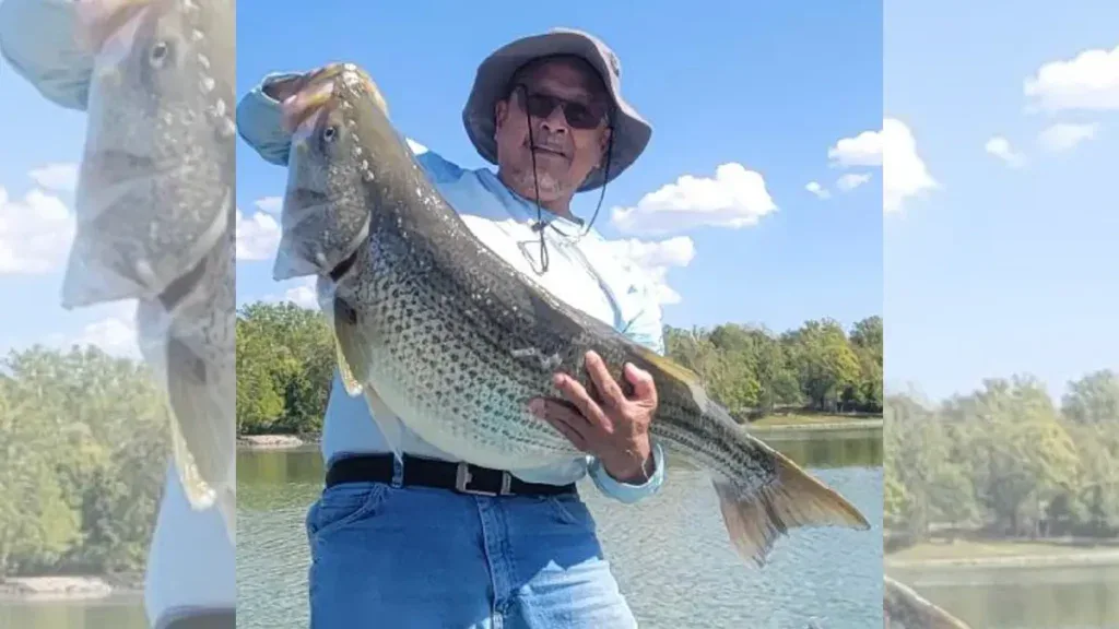 George Bruggeman and Ohio Record Striped Bass