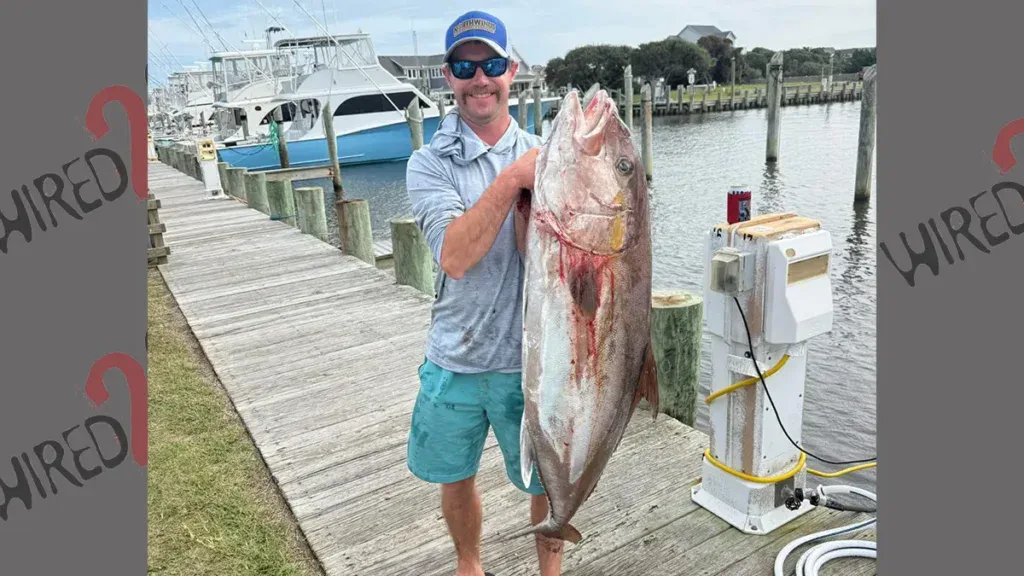 NC record almaco jack