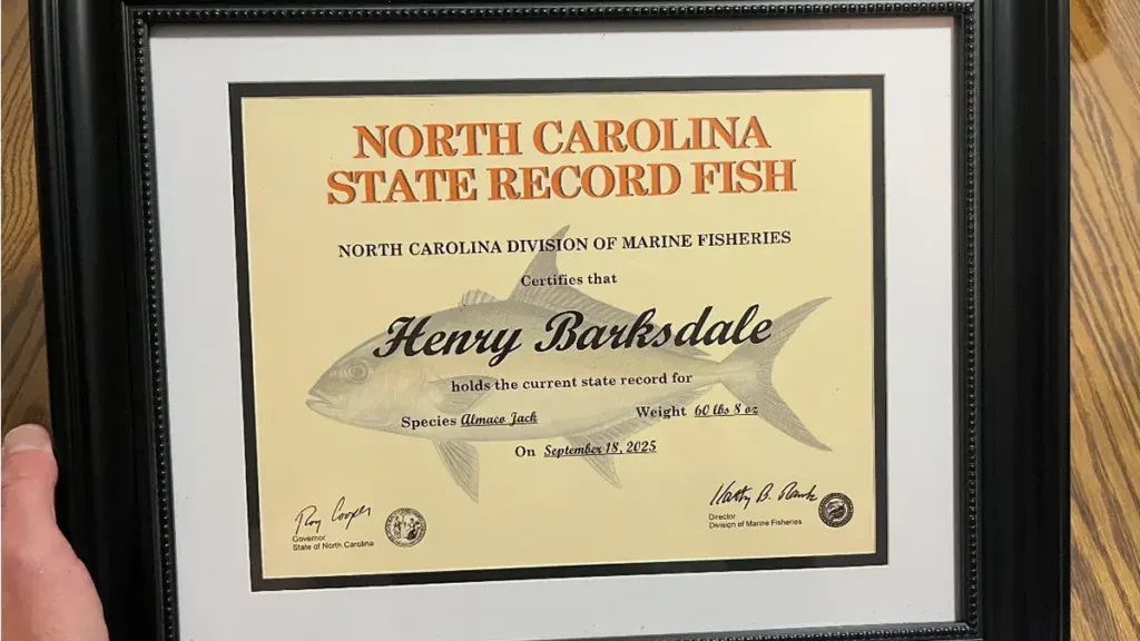 NC record certificate for almaco jack