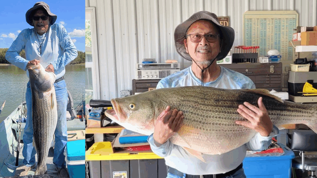 Ohio record striped bass