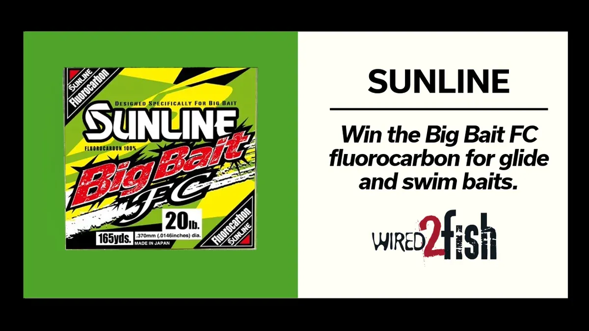 Sunline Give Away