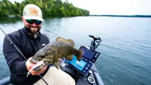 [VIDEO] How to Catch Fall Suspended Smallmouth