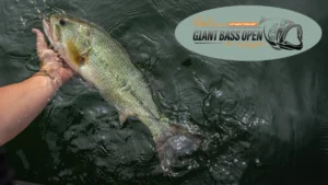 A New Bass Tournament For Every High School Angler