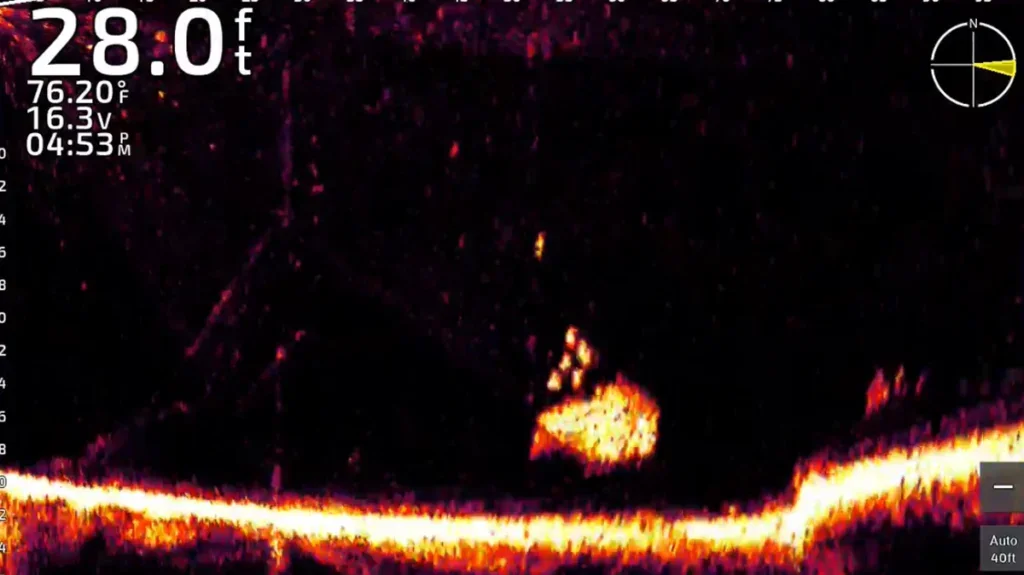 sonar marks