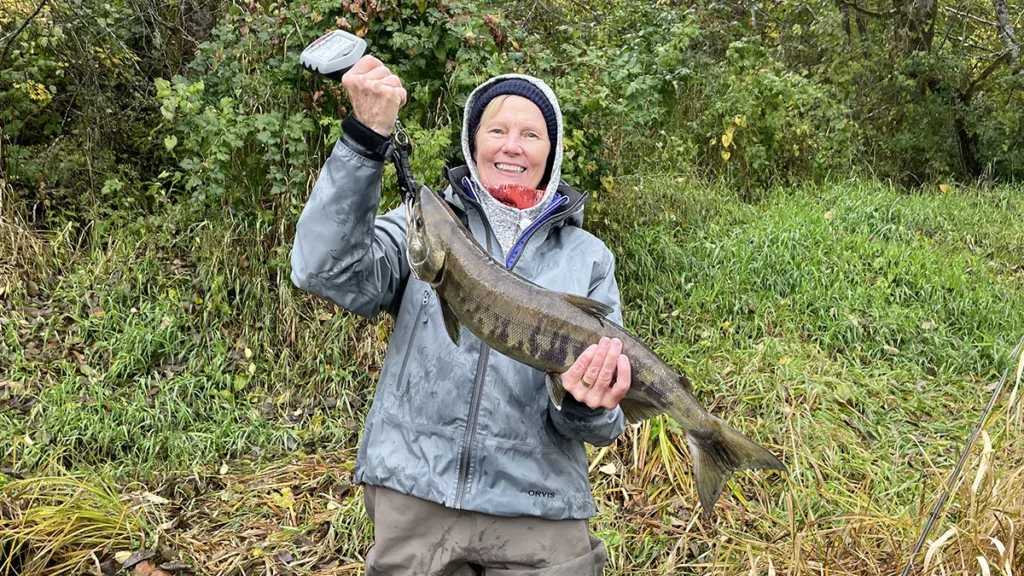 IGFA Record Chum Salmon