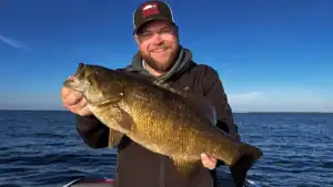 Best Fall Bass Lures