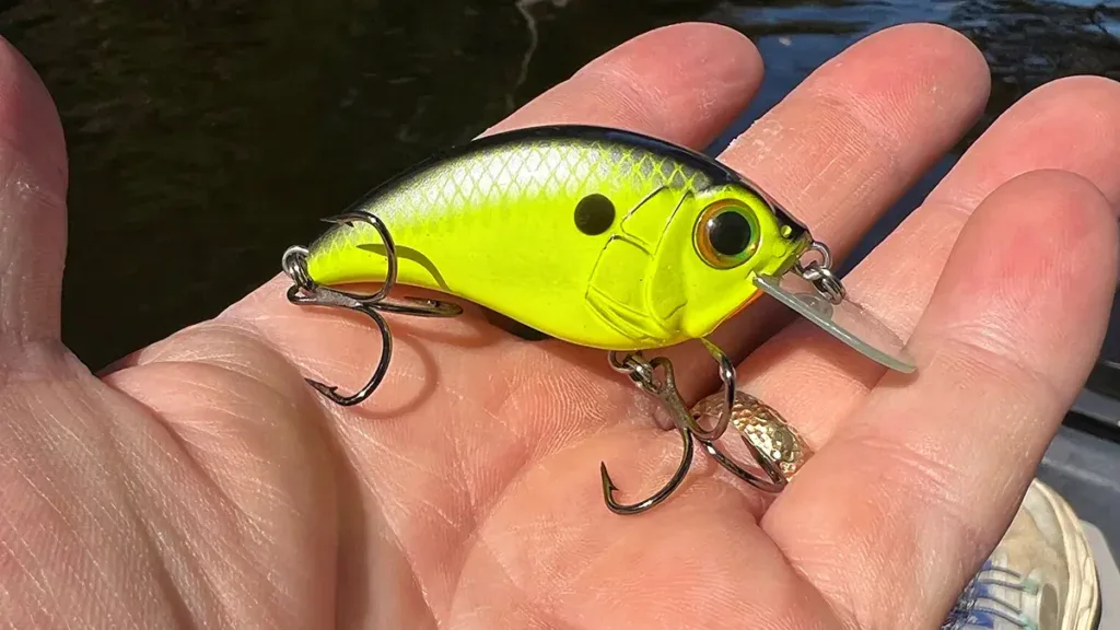 crankbait