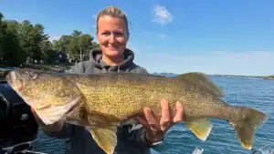 Bottom Bouncing for Late Summer Walleyes