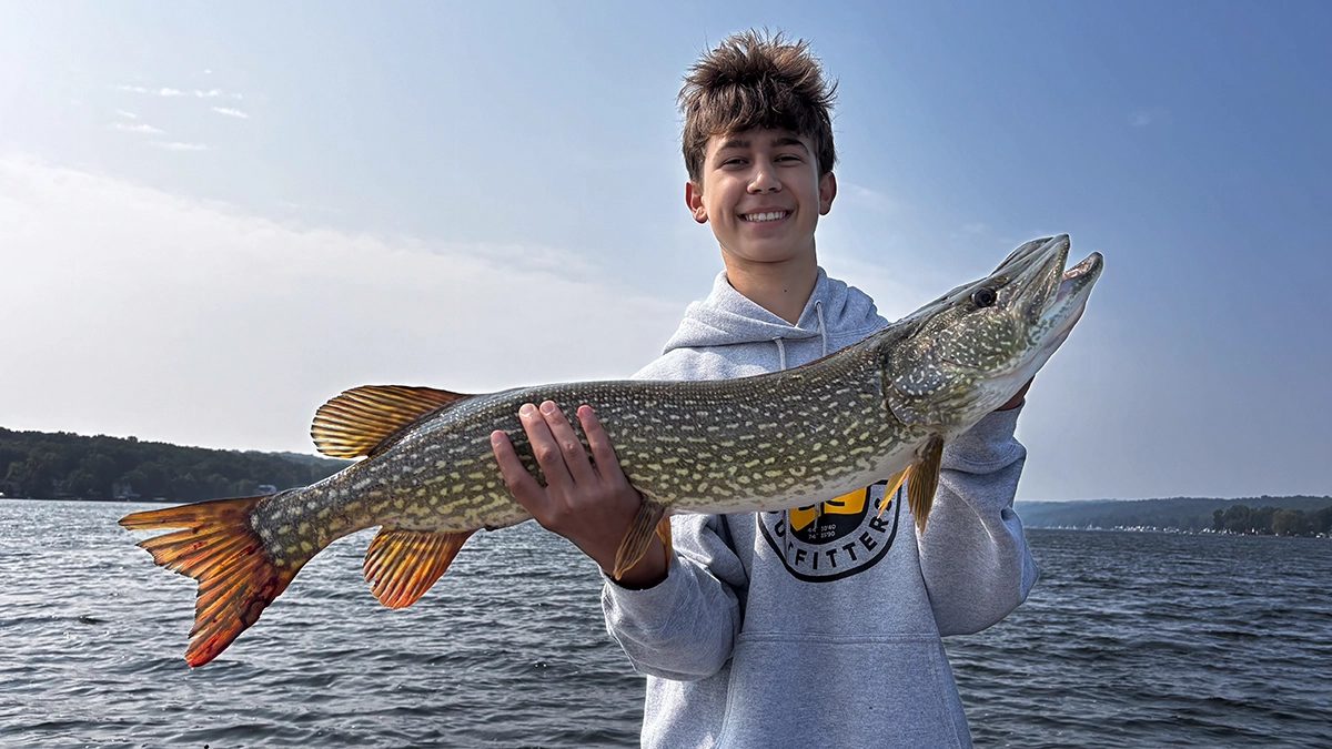 northern pike catch