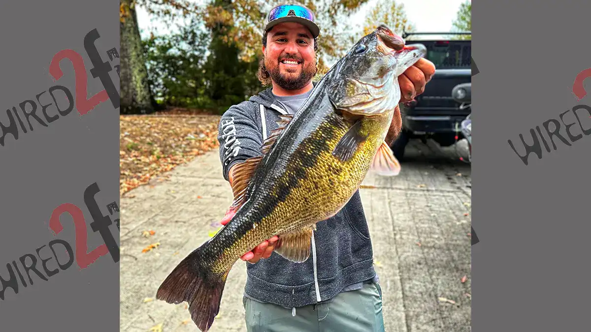 record Alabama bass