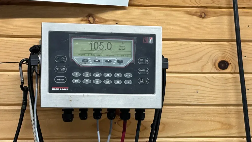 record blue catfish weight