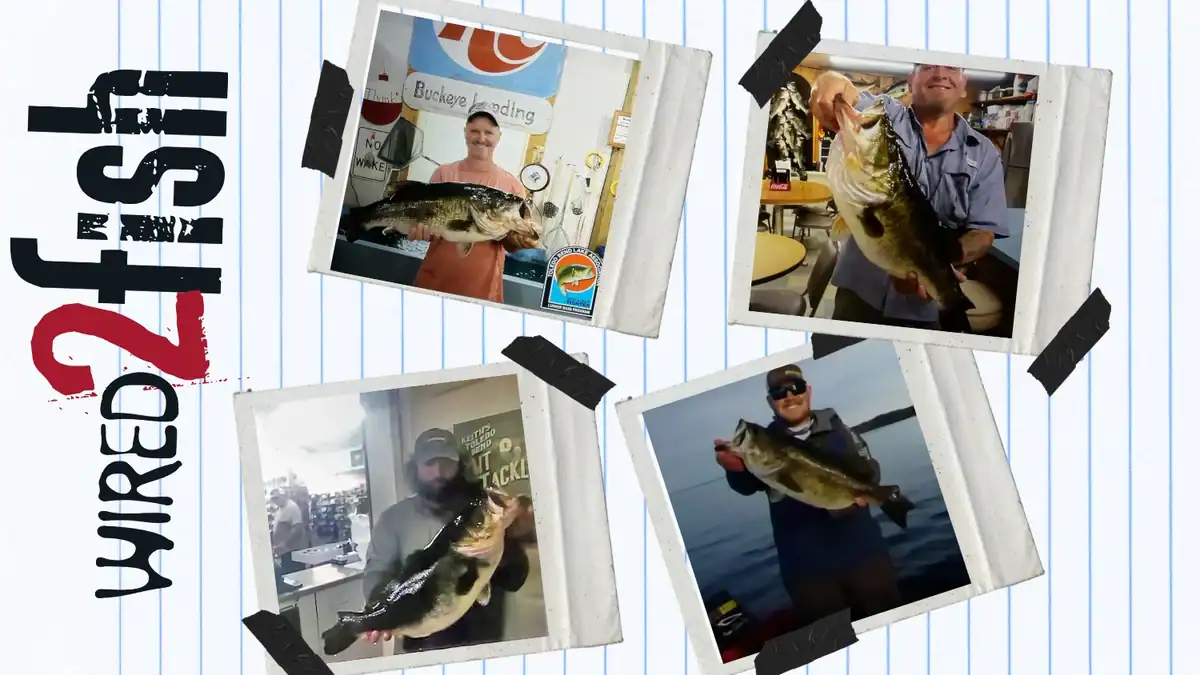 Big Toledo Bend bass caught 4 times