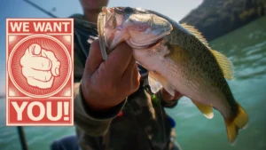 It’s Time for Bass Anglers To Speak Up 
