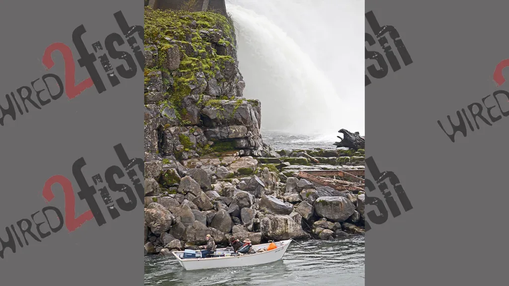 Willamette Falls fishing
