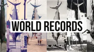 world record billfish catches