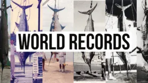 World Record Marlin and Billfish