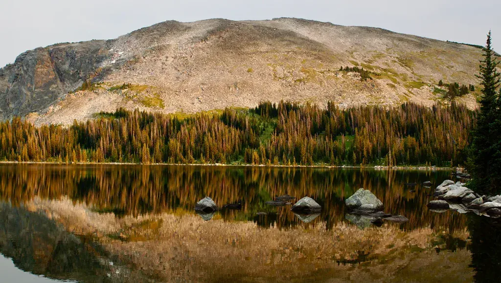 Absaroka–Beartooth Wilderness