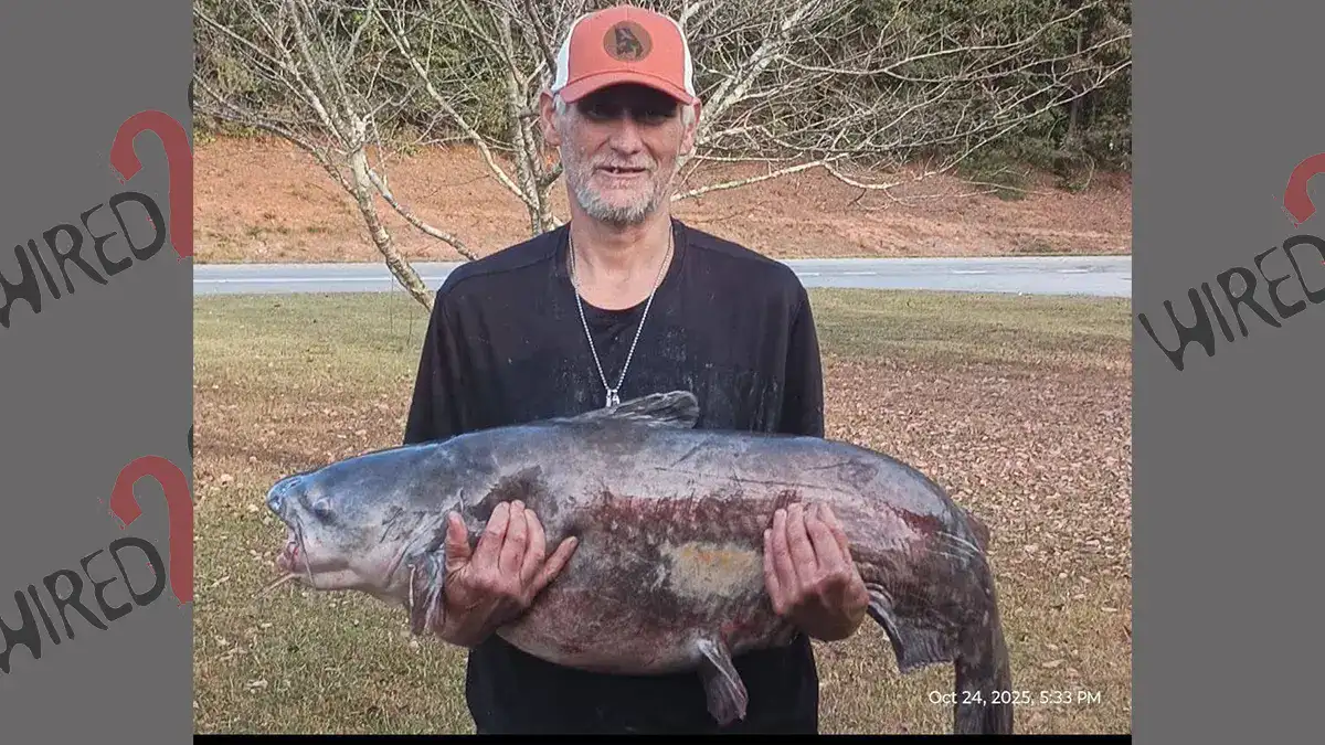 Lake Hartwell Record Catfish