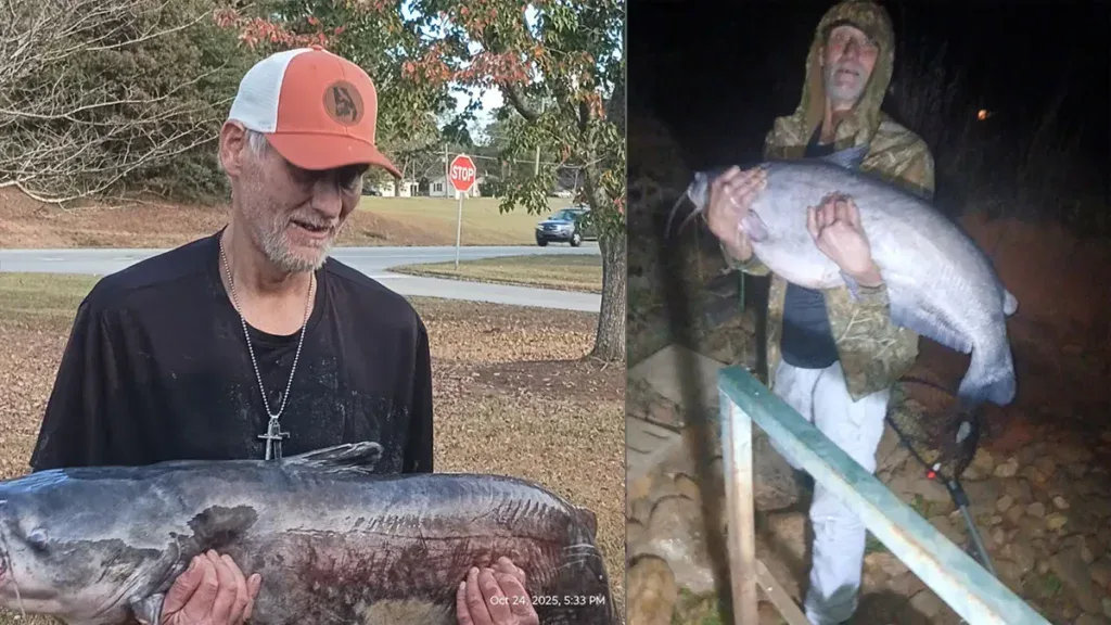 big catfish from Lake Hartwell
